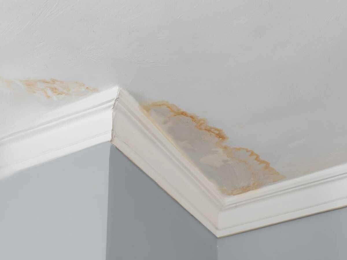 Ceiling water damage in Bee Cave, TX