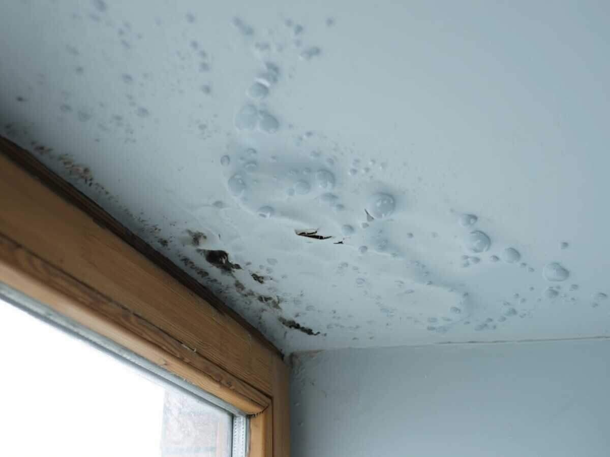 Roof leak water damage in Bee Cave, TX
